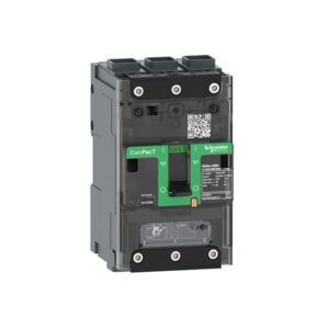 MCCB Schneider C11B3TM100L