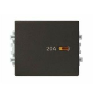 Công Tắc 2 Cực Size M Schneider 8431MD20_BZ_G19