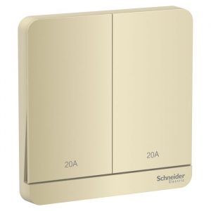 Công tắc đôi 2 cực 20A Schneider E8332D20N_WG_G19