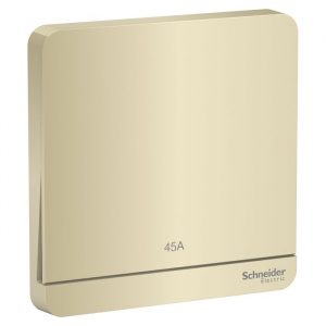 Công tắc đơn 2 cực 45A Schneider E8331D45N_WG_G19