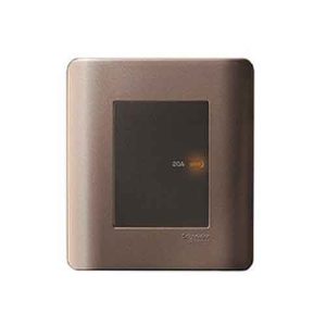 Công tắc đơn 2 cực 20A Schneider E8431D20_SZ_G19