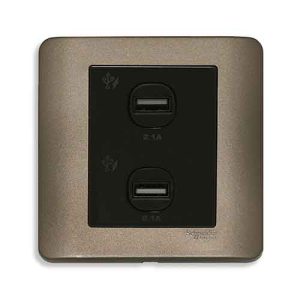 Ổ sạc USB đôi 2.1A Schneider E8432USB_SZ_G19