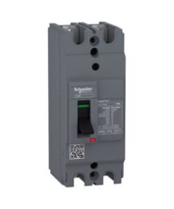MCCB Schneider EZC100H2060