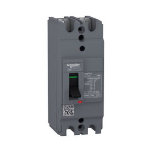 MCCB Schneider EZC100H2025