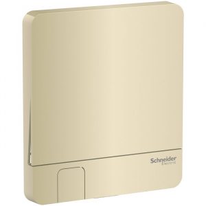 Mặt cho 1 công tắc Schneider E8331KH_WG_G19