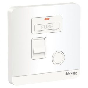 Mặt đấu dây có cầu chì 13A Schneider E8331DFSGN_WE_G19