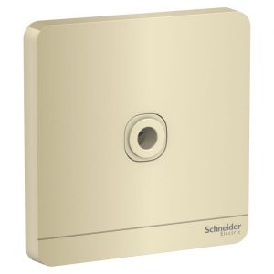 Mặt đấu dây Schneider E8331TB_WG_G19