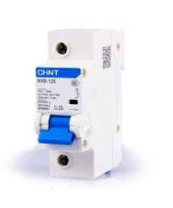 MCB Chint NXB-125 100A 10KA 1P