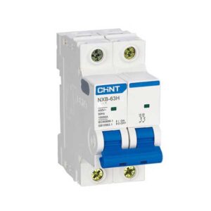 MCB Chint NXB-63H 20A 10kA 2P