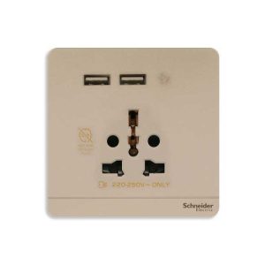 Ổ cắm đơn kèm sạc USB Schneider E8342616USB_WG_G19