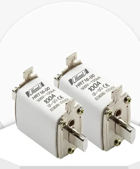 Đế cầu chì Himel HRT1600100 100A