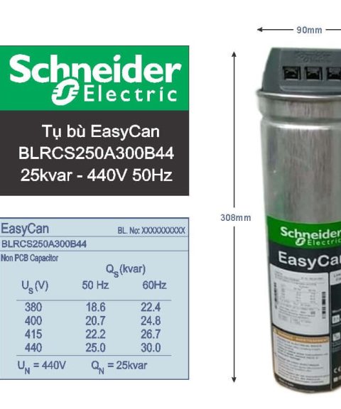 Tụ bù Schneider BLRCH250A300B44 25/30kVar 440V tải nặng dạng tròn