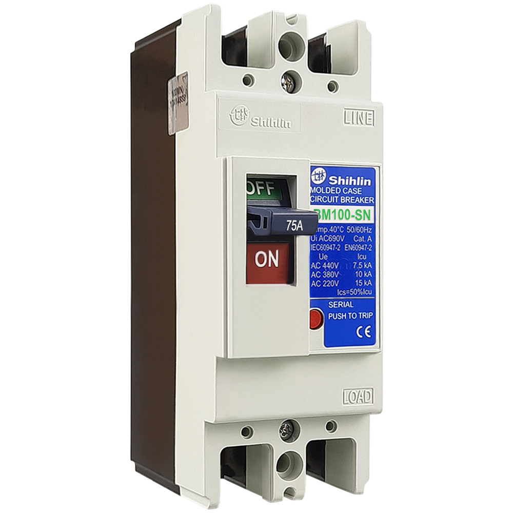 24890-shihlin-mccb-bm100-sn-2p-75a