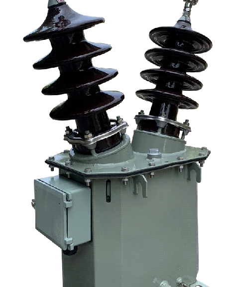Biến điện áp ngâm dầu trung thế 1 pha 2 sứ cấp nguồn 22kV PT22-1HODXS